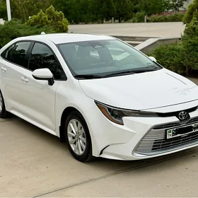Toyota Corolla 2024
