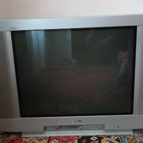 Telewizor