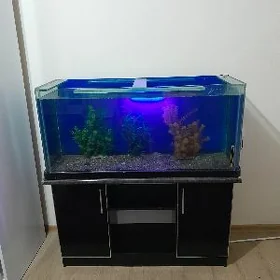akvarium