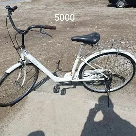 welik tigir 26 lyk