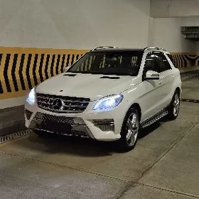 Mercedes-Benz ML350 2014