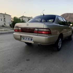 Toyota Corolla 1993