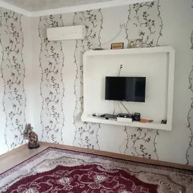 156,157,158,159 kw. agaç jaý