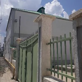 Gökdepe eñkewede kottež jaý