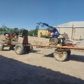 MTZ 80 2023