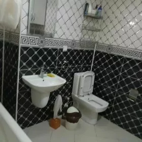 Arenda Gaudan Mir_koce