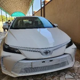Toyota Corolla 2022