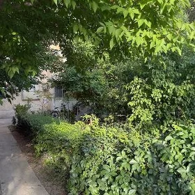 Бикрова Плановый дом 8 Соток з