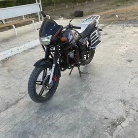 Fekon FK150-8G 2013