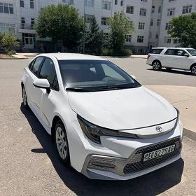 Toyota Corolla 2022