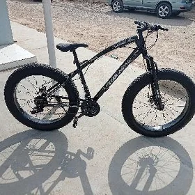26