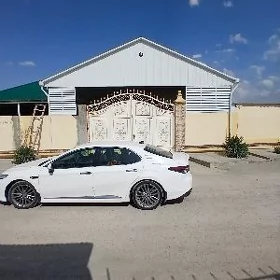 Toyota Camry 2019