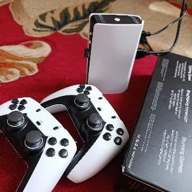 Plasteysin 5
