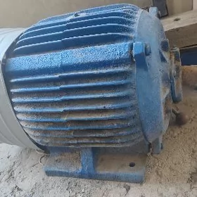 Elektro diwitil