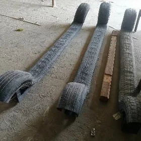 Rega Turba daşalýan