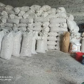 Öküz Sygyr Towuk jüýje iymleri