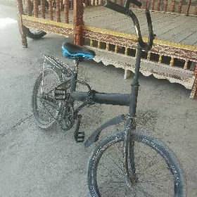 Kama tigir