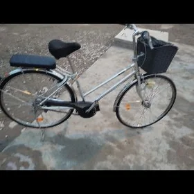 Ýapon tigir