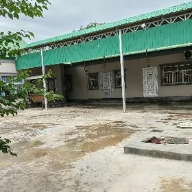 Bagyr mirwe