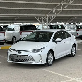 Toyota Corolla 2023