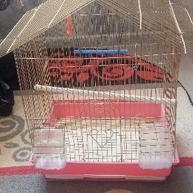 клетка