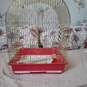клетка для птичек