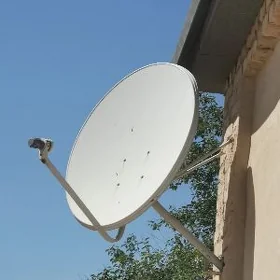 antena galonkali