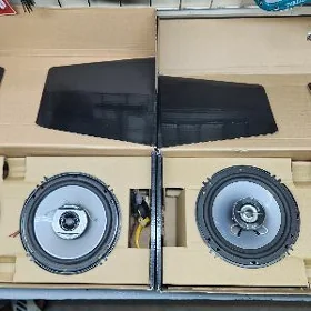pioneer