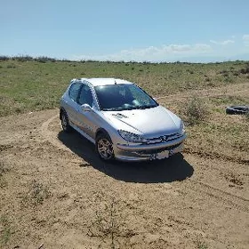 Peugeot 206 2006