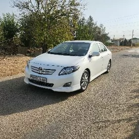 korolla Arginal teker 16