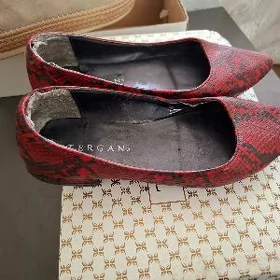 tergandan kowisler arassa koja
