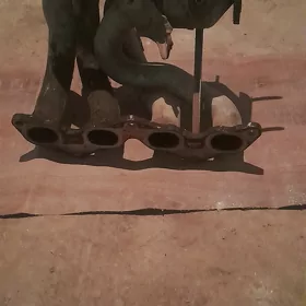 kollektor