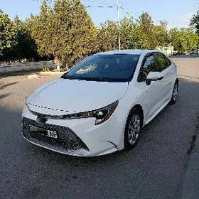 Toyota Corolla 2021