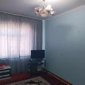 квартира