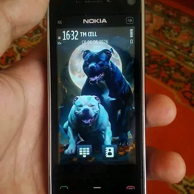 Nokia X6-00