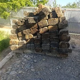 şpal ağaç satlyk