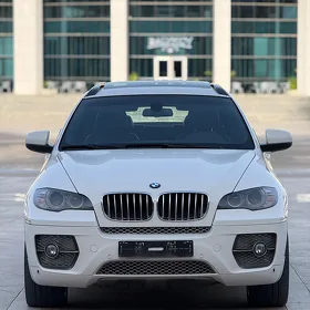 BMW X6 2010