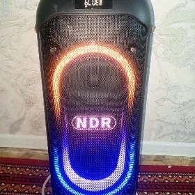 NDR kolonka
