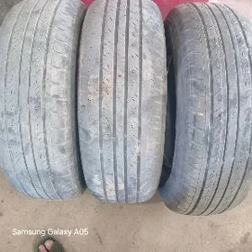 195.70.14.lik bezkamir