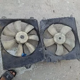wintelyator