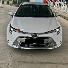 Toyota Corolla 2025