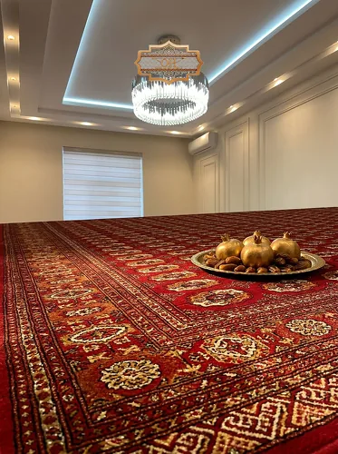 Oguzhan Haly Gallery 11
