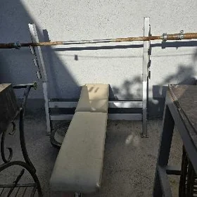 trnažor