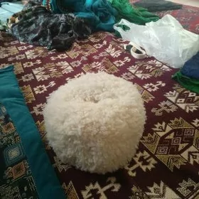 chaga telpek