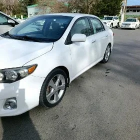 Toyota Corolla 2011