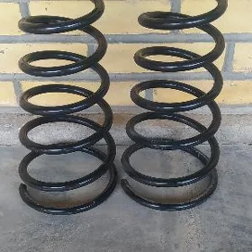 Purźin Rx300