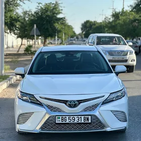 Toyota Camry 2019