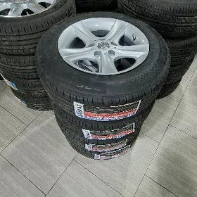 Çarjow R15