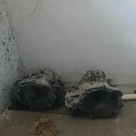 12carolla karopka