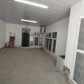 ÂNEW